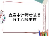 宜春审计师考试指导中心哪里有