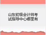 山东初级会计师考试指导中心哪里有