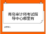 青岛审计师考试指导中心哪里有
