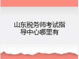 山东税务师考试指导中心哪里有
