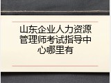 山东企业人力资源管理师考试指导中心哪里有