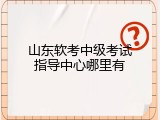 山东软考中级考试指导中心哪里有