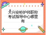 大兴安岭护师职称考试指导中心哪里有