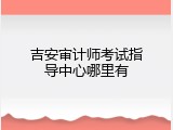 吉安审计师考试指导中心哪里有
