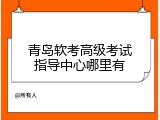 青岛软考高级考试指导中心哪里有
