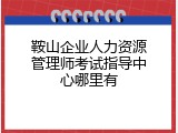鞍山企业人力资源管理师考试指导中心哪里有