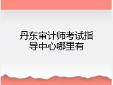 丹东审计师考试指导中心哪里有