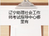 辽宁助理社会工作师考试指导中心哪里有