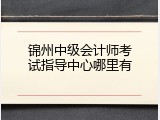 锦州中级会计师考试指导中心哪里有