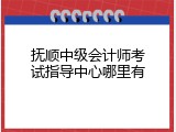 抚顺中级会计师考试指导中心哪里有