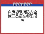 自贡初级消防安全管理员证在哪里报考
