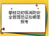 攀枝花初级消防安全管理员证在哪里报考