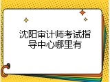 沈阳审计师考试指导中心哪里有