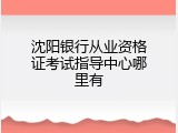 沈阳银行从业资格证考试指导中心哪里有
