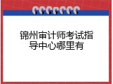 锦州审计师考试指导中心哪里有