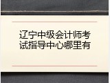 辽宁中级会计师考试指导中心哪里有