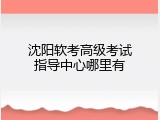 沈阳软考高级考试指导中心哪里有
