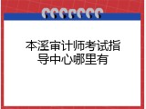 本溪审计师考试指导中心哪里有