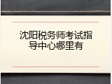 沈阳税务师考试指导中心哪里有