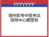 锦州软考中级考试指导中心哪里有