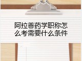 阿拉善药学职称怎么考需要什么条件