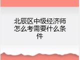 北辰区中级经济师怎么考需要什么条件