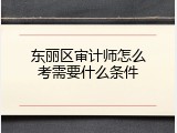 东丽区审计师怎么考需要什么条件
