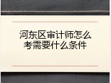 河东区审计师怎么考需要什么条件