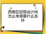 西青区初级会计师怎么考需要什么条件
