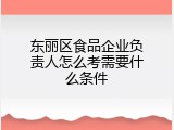 东丽区食品企业负责人怎么考需要什么条件