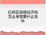 红桥区高级经济师怎么考需要什么条件
