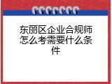 东丽区企业合规师怎么考需要什么条件