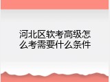 河北区软考高级怎么考需要什么条件