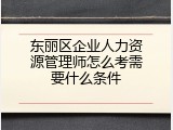 东丽区企业人力资源管理师怎么考需要什么条件