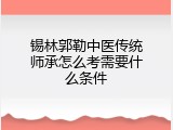 锡林郭勒中医传统师承怎么考需要什么条件