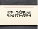 北海一级应急救援员培训学校哪里好