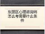 东丽区心理咨询师怎么考需要什么条件
