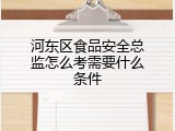 河东区食品安全总监怎么考需要什么条件