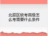 北辰区软考高级怎么考需要什么条件