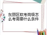 东丽区软考高级怎么考需要什么条件