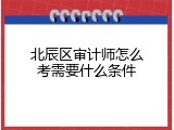 北辰区审计师怎么考需要什么条件