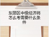 东丽区中级经济师怎么考需要什么条件