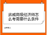 武威高级经济师怎么考需要什么条件