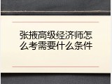 张掖高级经济师怎么考需要什么条件