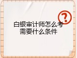 白银审计师怎么考需要什么条件