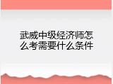 武威中级经济师怎么考需要什么条件