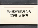 武威税务师怎么考需要什么条件