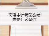 商洛审计师怎么考需要什么条件