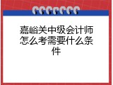 嘉峪关中级会计师怎么考需要什么条件
