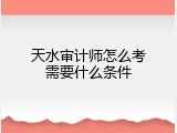 天水审计师怎么考需要什么条件